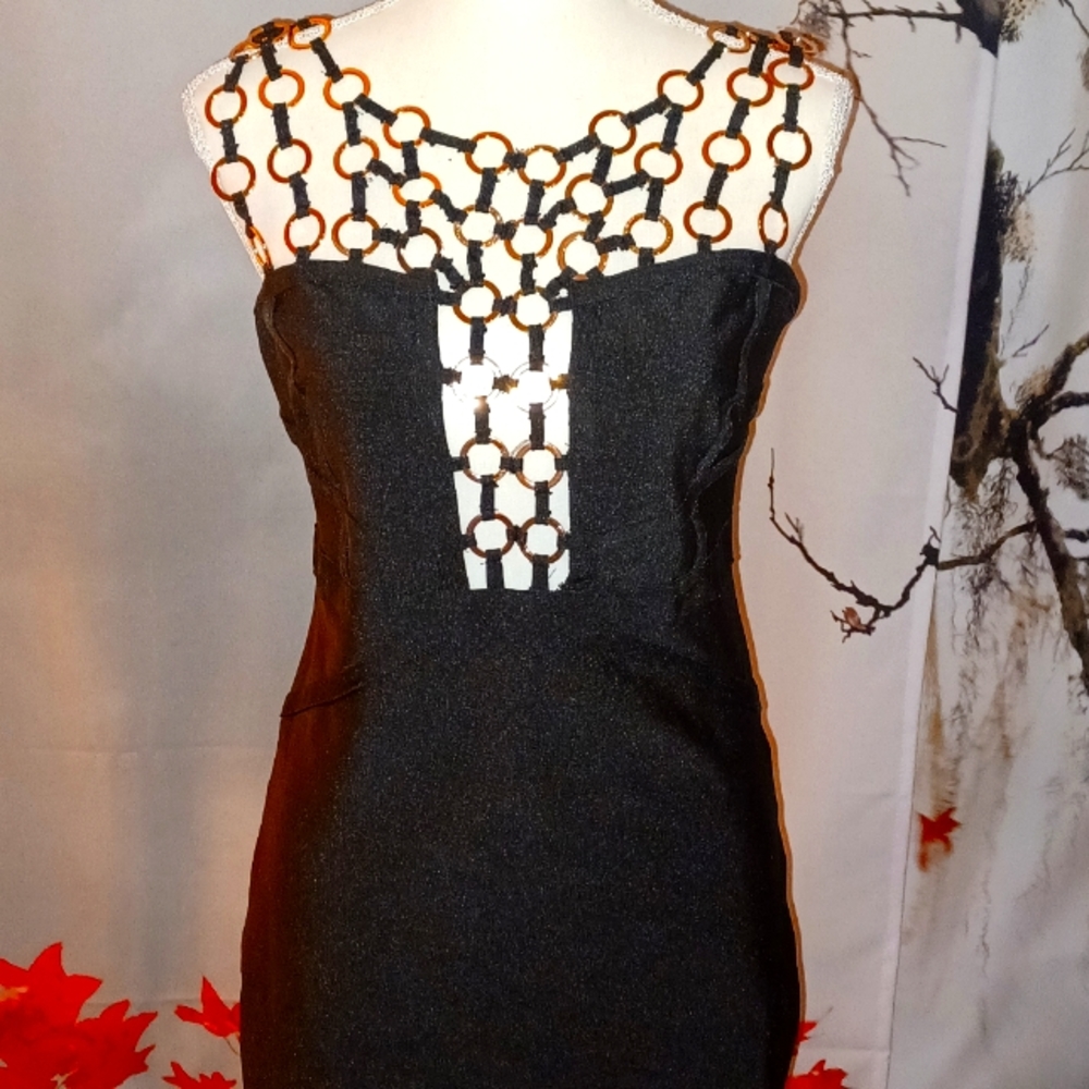 Black dress with gold circular compliments.